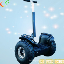 Self Balance 2 Wheel Folding E Scooter